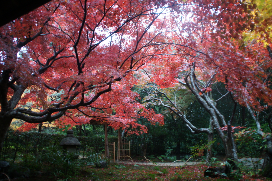f:id:sanraku2:20121126101815j:image:w600 f:id:sanraku2:20121126101815j:image:w600