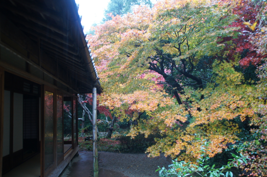 f:id:sanraku2:20121126102213j:image:w600 f:id:sanraku2:20121126102213j:image:w600