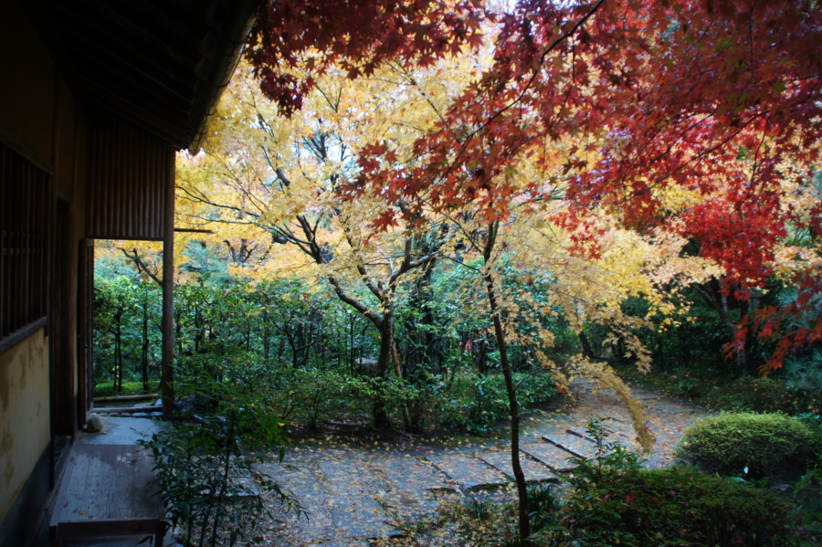 f:id:sanraku2:20121126102436j:image:w600 f:id:sanraku2:20121126102436j:image:w600