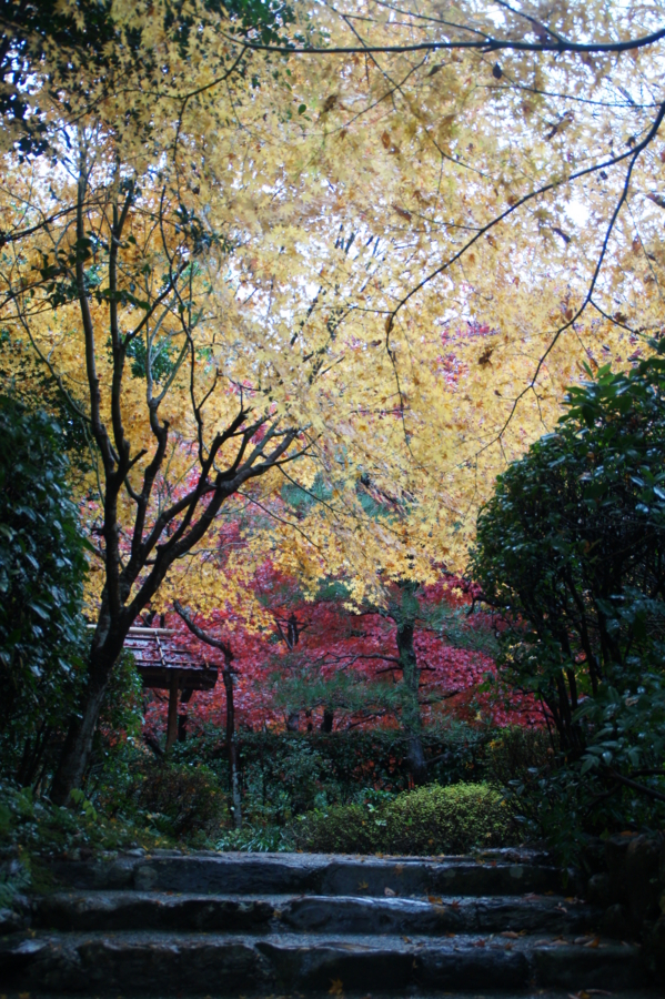 f:id:sanraku2:20121126103130j:image:h600 f:id:sanraku2:20121126103130j:image:h600