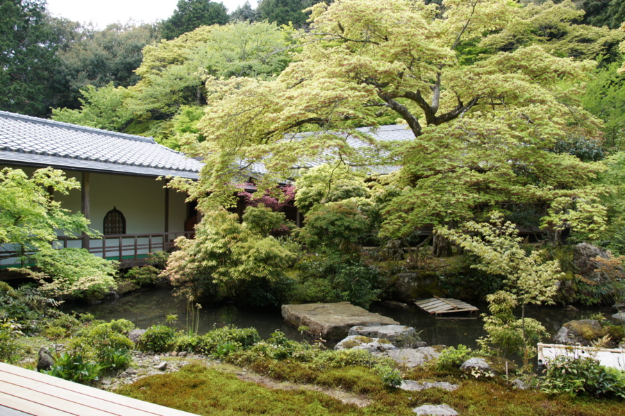 f:id:sanraku2:20130427131301j:image:w600 f:id:sanraku2:20130427131301j:image:w600