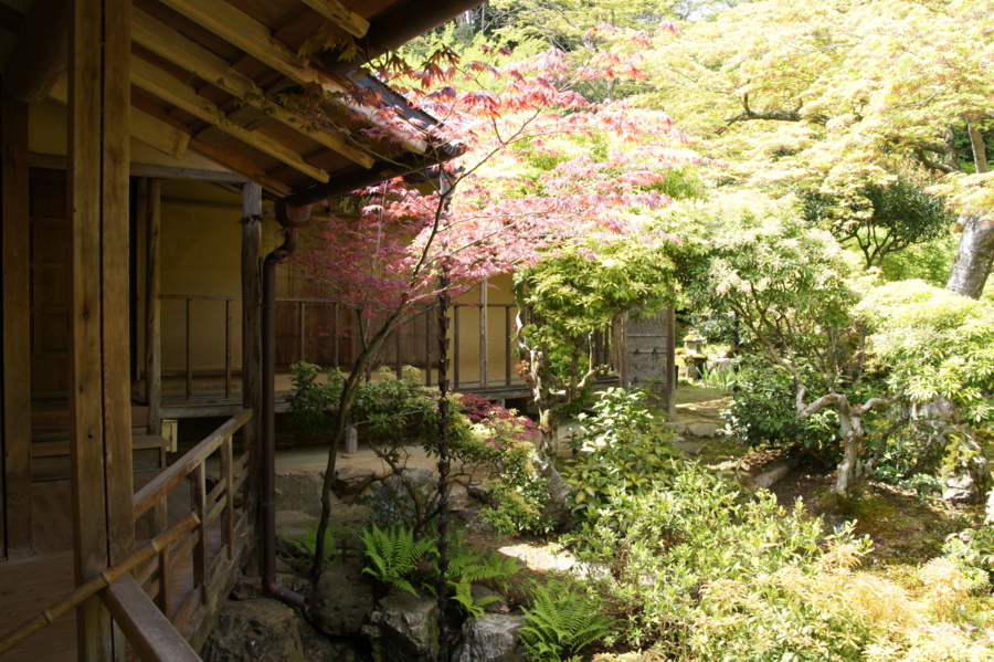 f:id:sanraku2:20130427131601j:image:w600 f:id:sanraku2:20130427131601j:image:w600