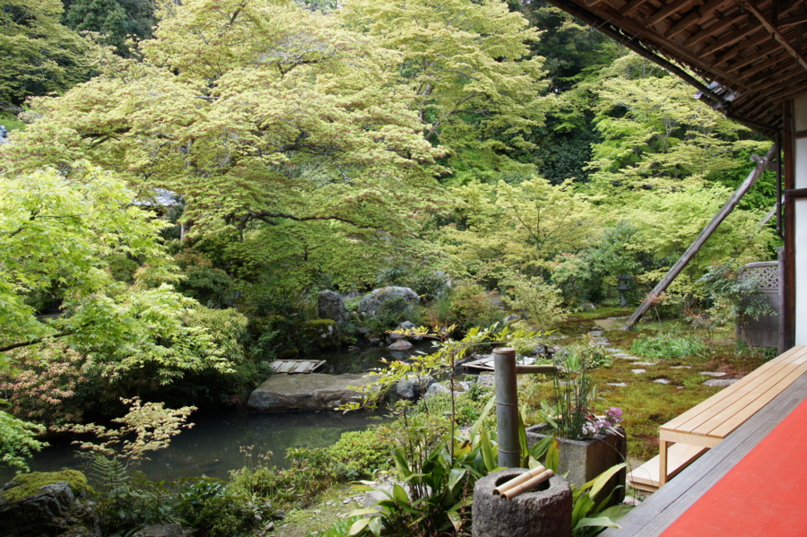 f:id:sanraku2:20130427132058j:image:w600 f:id:sanraku2:20130427132058j:image:w600