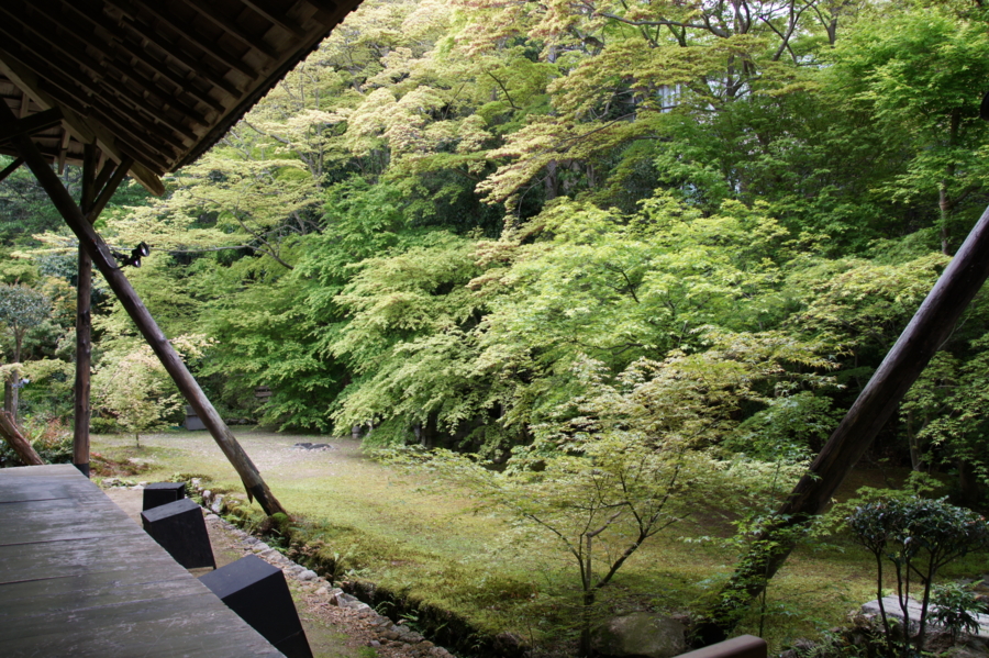 f:id:sanraku2:20130427132645j:image:w600 f:id:sanraku2:20130427132645j:image:w600