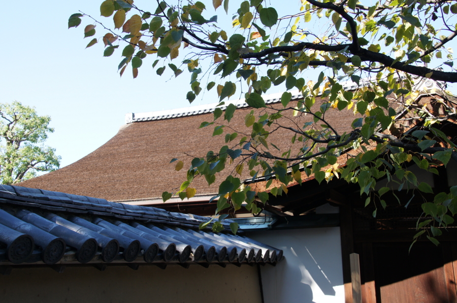f:id:sanraku2:20141030123959j:plain f:id:sanraku2:20141030123959j:plain