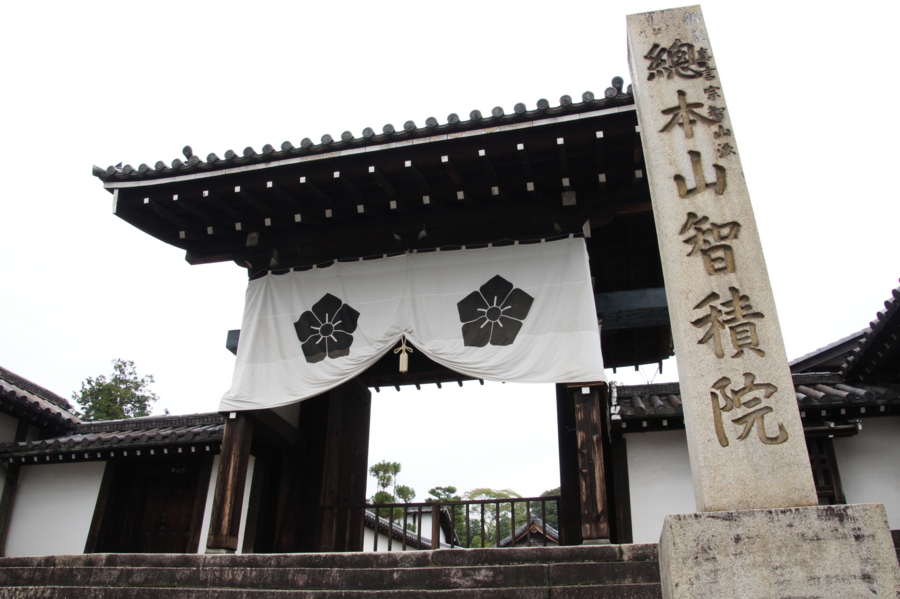 f:id:sanraku2:20141031120154j:plain f:id:sanraku2:20141031120154j:plain