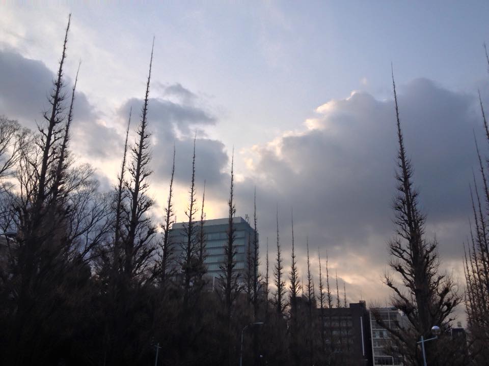 f:id:santambo:20160206074956j:plain f:id:santambo:20160206074956j:plain