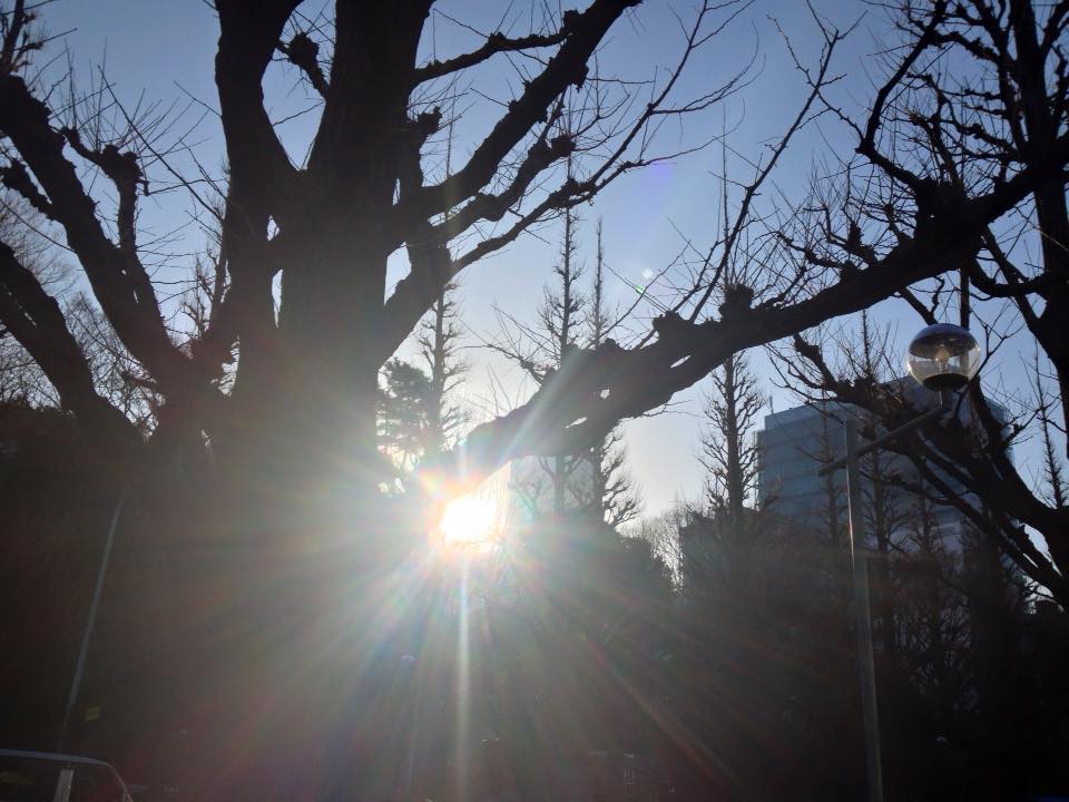 f:id:santambo:20160317072306j:plain