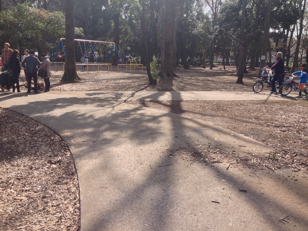 f:id:santambo:20160320143323j:image