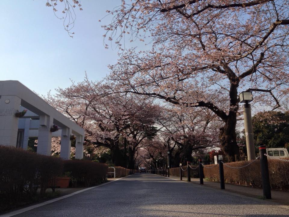 f:id:santambo:20160331073508j:plain