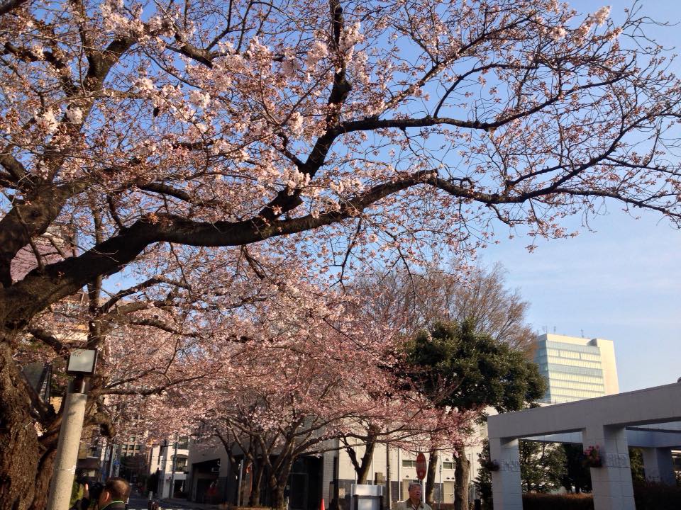 f:id:santambo:20160331073611j:plain