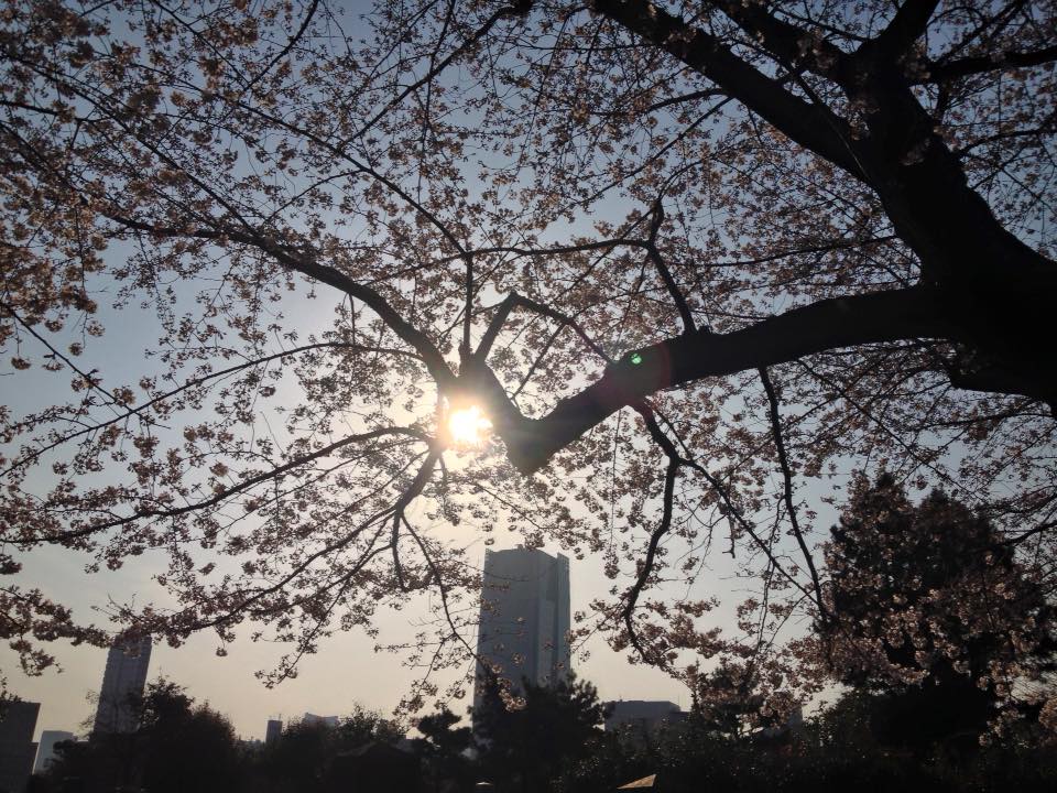 f:id:santambo:20160331073628j:plain