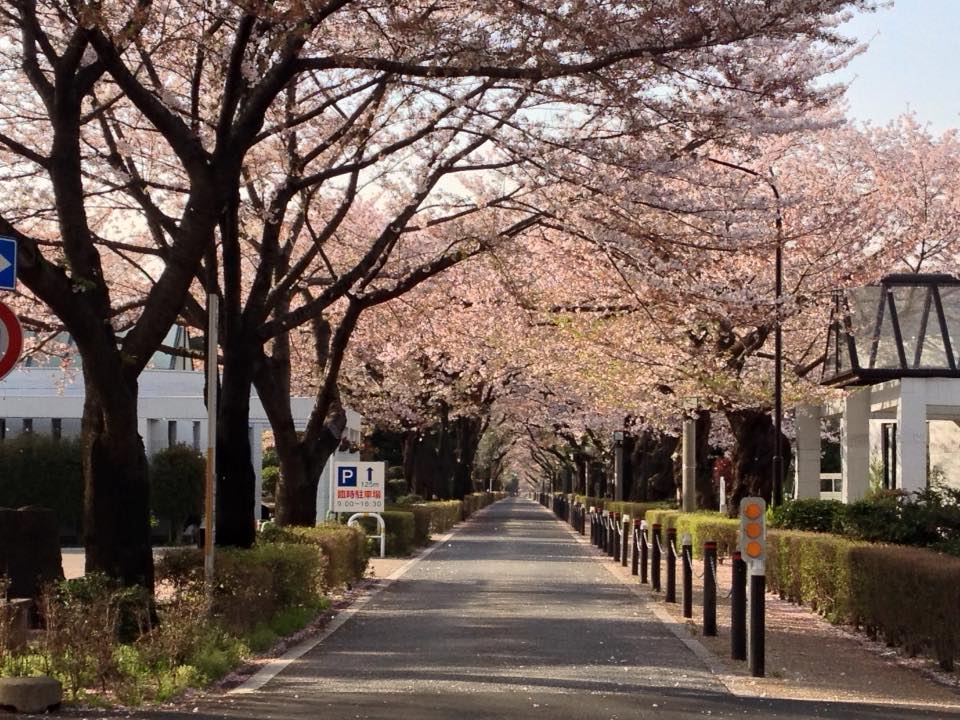 f:id:santambo:20160409074320j:plain