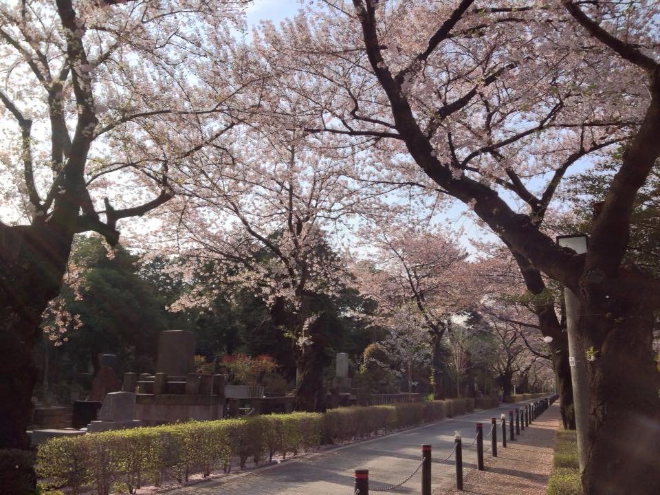 f:id:santambo:20160409074342j:plain