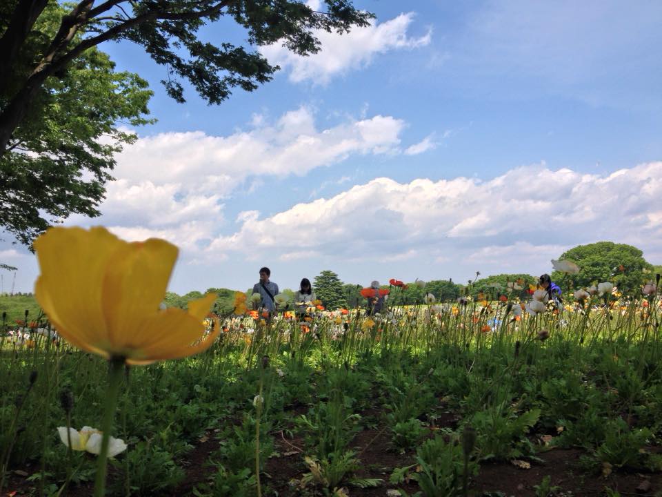 f:id:santambo:20160430180304j:plain