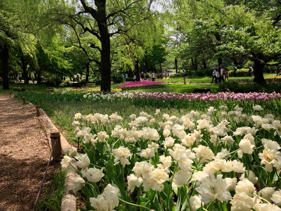 f:id:santambo:20160430180431j:plain