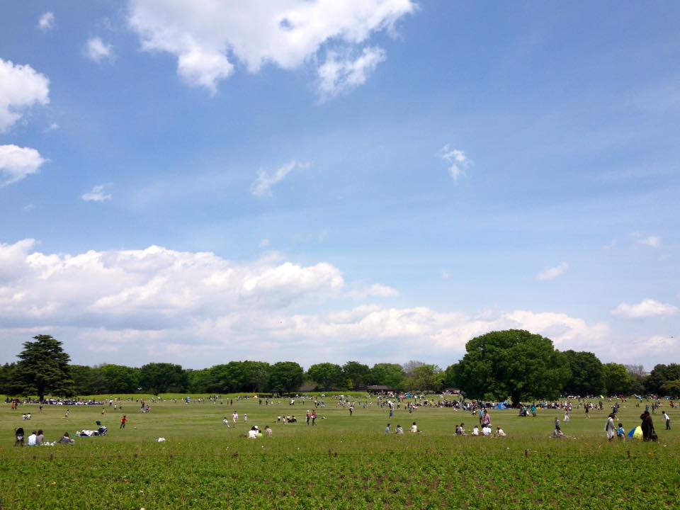 f:id:santambo:20160430180651j:plain