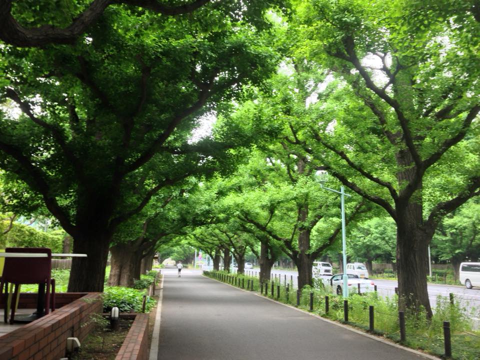 f:id:santambo:20160516071759j:plain f:id:santambo:20160516071759j:plain