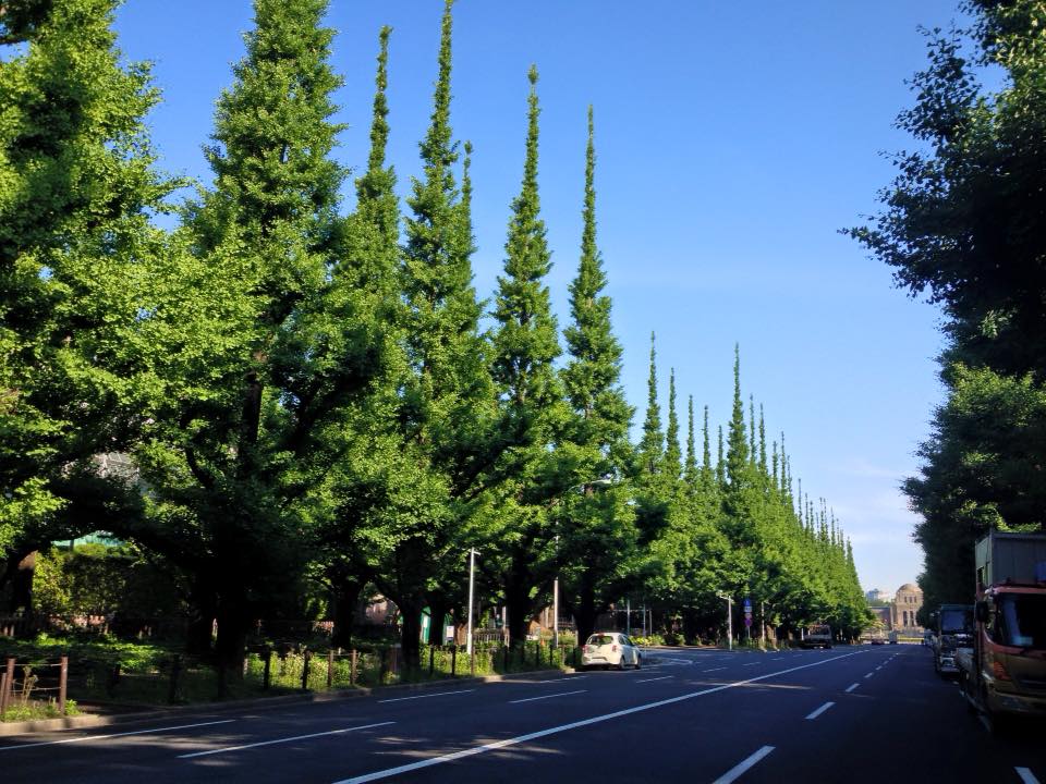 f:id:santambo:20160518073029j:plain