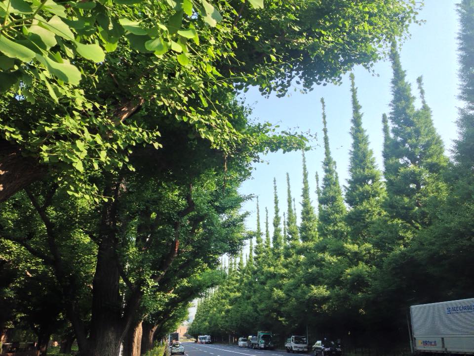 f:id:santambo:20160521074009j:plain f:id:santambo:20160521074009j:plain
