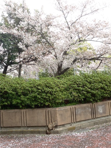 f:id:sanyongooo:20160405170908j:image f:id:sanyongooo:20160405170908j:image