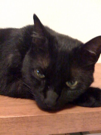 f:id:sap0220:20080810174431j:image f:id:sap0220:20080810174431j:image