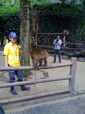 f:id:sap0220:20080918102716j:image f:id:sap0220:20080918102716j:image