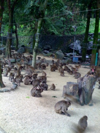 f:id:sap0220:20080918103219j:image f:id:sap0220:20080918103219j:image