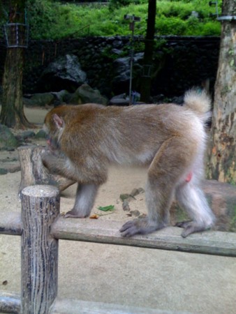 f:id:sap0220:20080918111300j:image f:id:sap0220:20080918111300j:image