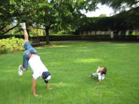 f:id:sap0220:20080926155803j:image f:id:sap0220:20080926155803j:image