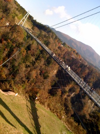 f:id:sap0220:20081121105226j:image f:id:sap0220:20081121105226j:image