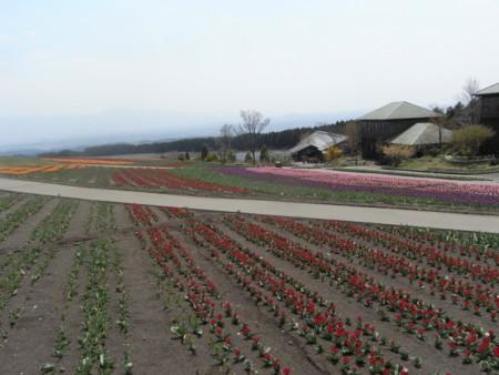 f:id:sap0220:20090408123400j:image f:id:sap0220:20090408123400j:image