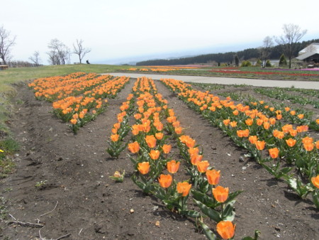 f:id:sap0220:20090408123423j:image f:id:sap0220:20090408123423j:image