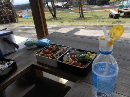 f:id:sap0220:20090408123651j:image f:id:sap0220:20090408123651j:image