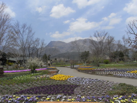 f:id:sap0220:20090408131029j:image f:id:sap0220:20090408131029j:image