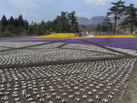 f:id:sap0220:20090408133156j:image f:id:sap0220:20090408133156j:image