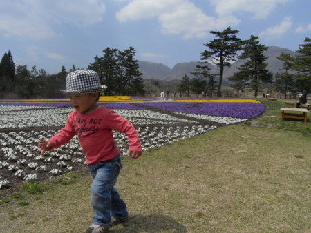 f:id:sap0220:20090408133222j:image f:id:sap0220:20090408133222j:image