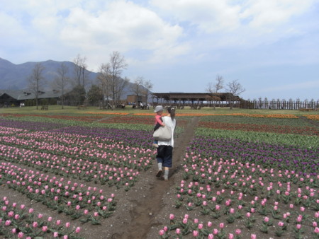 f:id:sap0220:20090408135627j:image f:id:sap0220:20090408135627j:image
