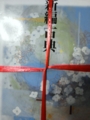 f:id:sapium:20130303132242j:image:medium f:id:sapium:20130303132242j:image:medium