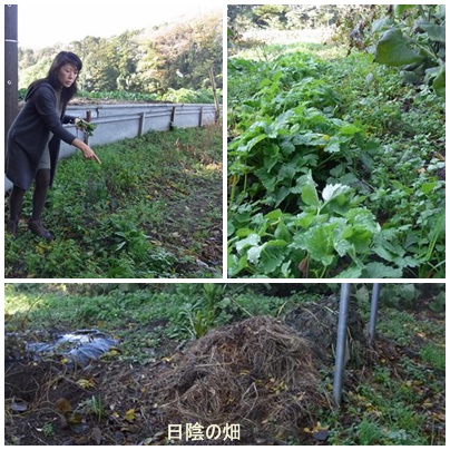 f:id:sapochiga-cb:20131128202316j:plain f:id:sapochiga-cb:20131128202316j:plain
