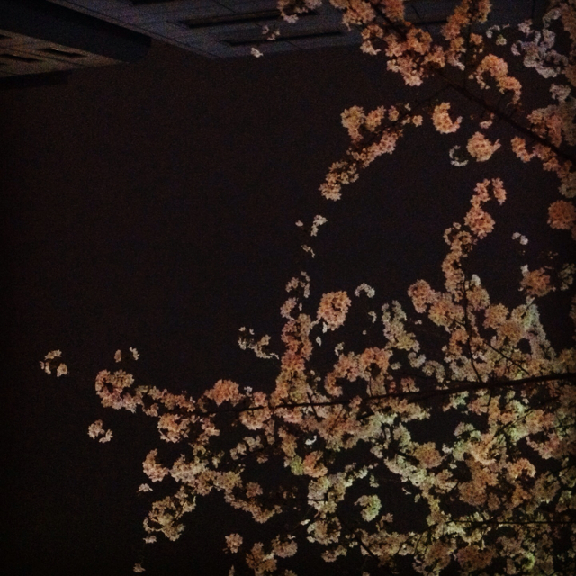 f:id:sara_y:20130322222315j:plain f:id:sara_y:20130322222315j:plain