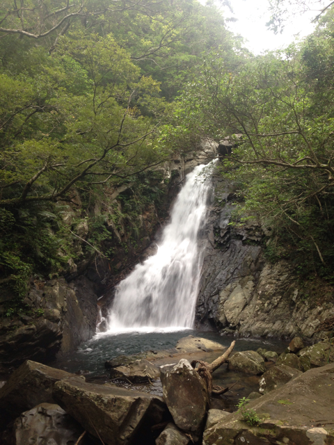 f:id:sara_y:20130705121643j:plain f:id:sara_y:20130705121643j:plain