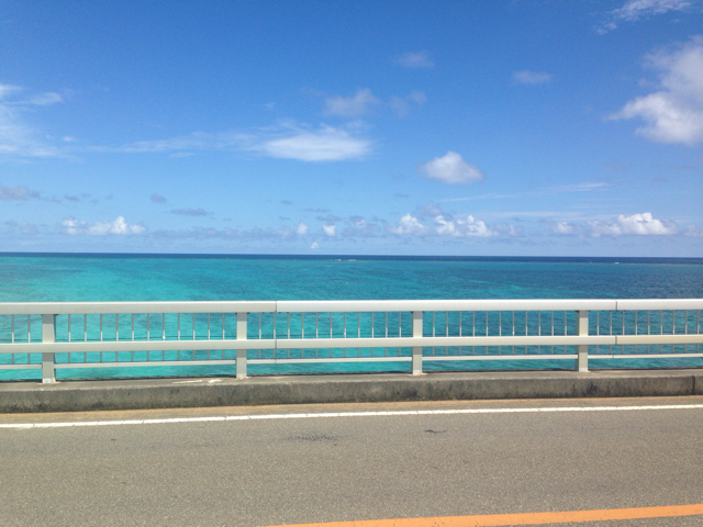 f:id:sara_y:20130725143255j:plain f:id:sara_y:20130725143255j:plain