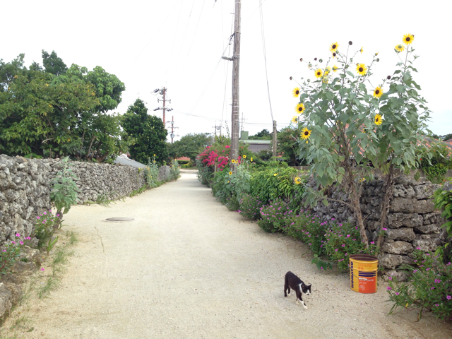 f:id:sara_y:20130905145841j:plain f:id:sara_y:20130905145841j:plain