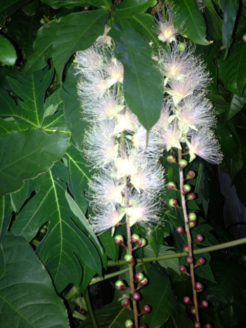 f:id:sara_y:20130923084018j:plain f:id:sara_y:20130923084018j:plain