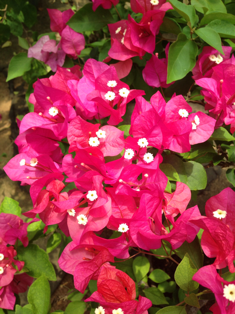 f:id:sara_y:20131004153209j:plain f:id:sara_y:20131004153209j:plain