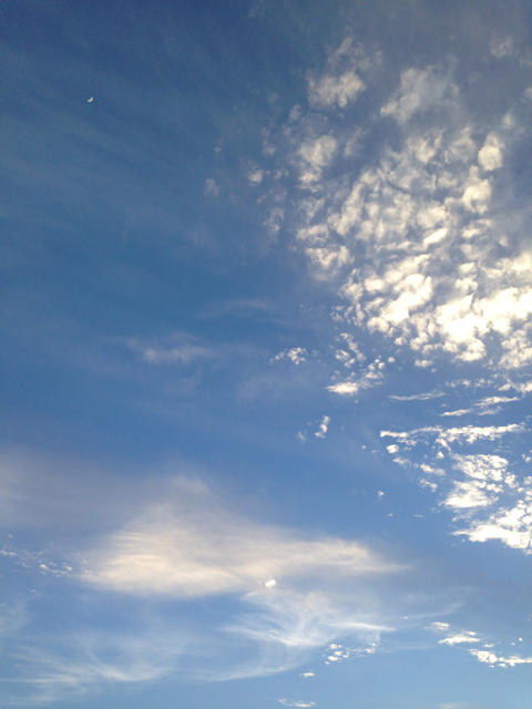 f:id:sara_y:20131030125821j:plain f:id:sara_y:20131030125821j:plain
