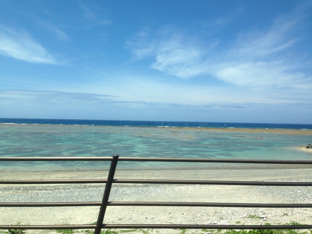 f:id:sara_y:20131120000111j:plain f:id:sara_y:20131120000111j:plain