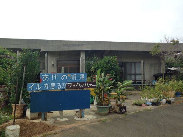 f:id:sara_y:20131128140049j:plain f:id:sara_y:20131128140049j:plain