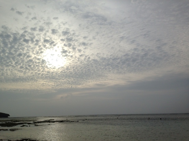 f:id:sara_y:20131128141822j:plain f:id:sara_y:20131128141822j:plain